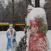 ���������� ���������, ���� ������� Igor, 41 ���, ������������ ��� ������, ����� � ���������