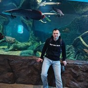 ���������� ������, ���� ������� �������, 39 ���, ������������ ��� ������, ����� � ���������