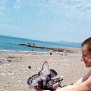 ���������� �����, ���� ������� �����, 54 ����, ������������ ��� ������, ����� � ���������, c�������� ���������