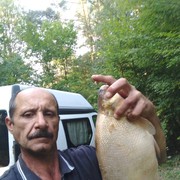  ,   , 62 ,   ,   , c 