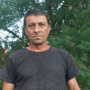  -,   SAID, 53 ,     , c 