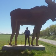 ���������� ����������, ���� ������� �������, 37 ���, ������������ ��� ������, ����� � ���������, c�������� ���������