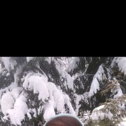 ���������� �����-���������, ���� ������� ������, 43 ����, ������������ ��� ����� � ���������, c�������� ���������