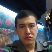  ,  , 33