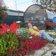 ���������� ���������, ���� ������� ����, 52 ����, ������������ ��� ������, ����� � ���������, c�������� ���������, ���������