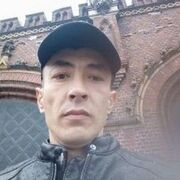 ���������� ��������, ���� ������� ������, 43 ����, ������������ ��� ������, ����� � ���������