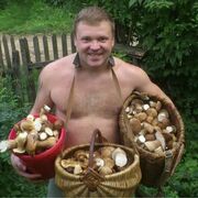 ���������� ���������, ���� ������� �������, 41 ���, ������������ ��� ������, ����� � ���������, c�������� ���������, ���������