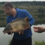 ���������� �������, ���� ������� �������, 37 ���, ������������ ��� ������, ����� � ���������, c�������� ���������, ���������