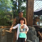  ,   Dreams, 46 ,     , c 