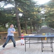  ,   Irakli, 41 ,   ,   , c 