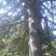  ,   , 36 ,   ,   , c 