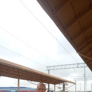  ,   , 49 ,     , c 