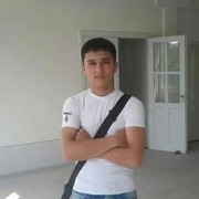  ,   Sardor, 31 ,   ,   , c 