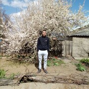  ,   , 38 ,   c , 