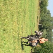 ���������� �����, ���� ������� ����, 35 ���, ������������ ��� ������