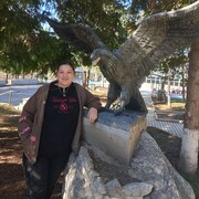 ���������� ����������, �������