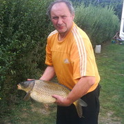  ,   Viceslav, 63 ,   