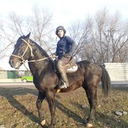 ���������� �������, ���� ������� ����, 38 ���, ������������ ��� ������, ����� � ���������, c�������� ���������