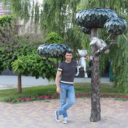 ���������� ������, ���� ������� ������, 50 ���, ������������ 