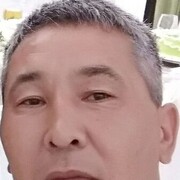  ,  , 43