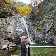 ���������� �������, ���� ������� �����, 46 ���, ������������ ��� c�������� ���������