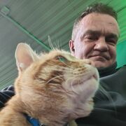 ���������� ������ ��������, ���� ������� �����, 50 ���, ������������ ��� ������, ����� � ���������