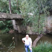 ���������� �����������, ���� ������� ���������, 46 ���, ������������ ��� ���������