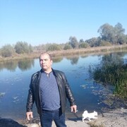  ,   Alexander, 49 ,   ,   , c , 