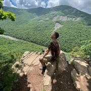 ���������� �����������, ���� ������� ����������, 39 ���, ������������ ��� ����� � ���������, c�������� ���������