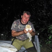  ,   , 54 ,   