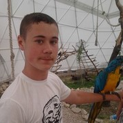  ,   , 29 ,     , c 