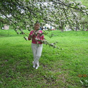  ,   , 58 ,   ,   , c 