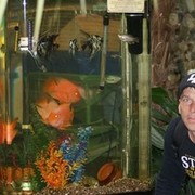 ���������� ������, ���� ������� ������, 44 ����, ������������ ��� ������, ����� � ���������, c�������� ���������