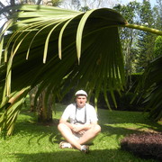 ���������� ����, ���� ������� �������, 46 ���, ������������ 