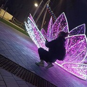  ,  , 24