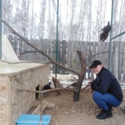 ���������� ���������, ���� ������� ����, 41 ���, ������������ ��� ������, ����� � ���������, c�������� ���������