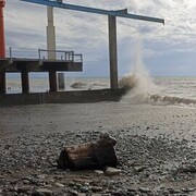 ���������� ���������, ���� ������� �������, 42 ����, ������������ ��� ������, ����� � ���������, c�������� ���������