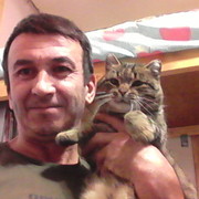  ,   , 49 ,   