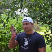 ���������� �����, ���� ������� ������, 41 ���, ������������ ��� ������, ����� � ���������