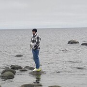  -,    , 31 ,   ,   
