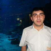  ,   , 44 ,   