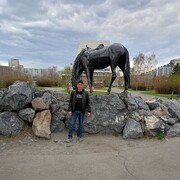 ���������� ����������, ���� ������� ������, 43 ����, ������������ ��� c�������� ���������