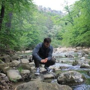  ,   , 29 ,   ,   , c , 