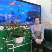  ,   , 44 ,   ,   