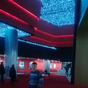 ���������� ���������, ���� ������� ����, 33 ����, ������������ ��� ������