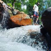 ���������� �������, ���� ������� ��������, 36 ���, ������������ ��� ����� � ���������, c�������� ���������, ���������