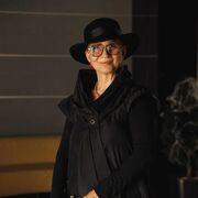 ���������� ������������, ���� ������� �����, 60 ���, ������������ ��� ������, ����� � ���������, c�������� ���������