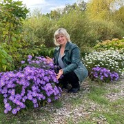 ���������� ������, ���� ������� ������, 48 ���, ������������ ��� ����� � ���������, c�������� ���������