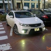 ���������� ����, ���� ������� Saleh, 41 ���, ������������ ��� ������