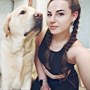 ���������� ��������, ����